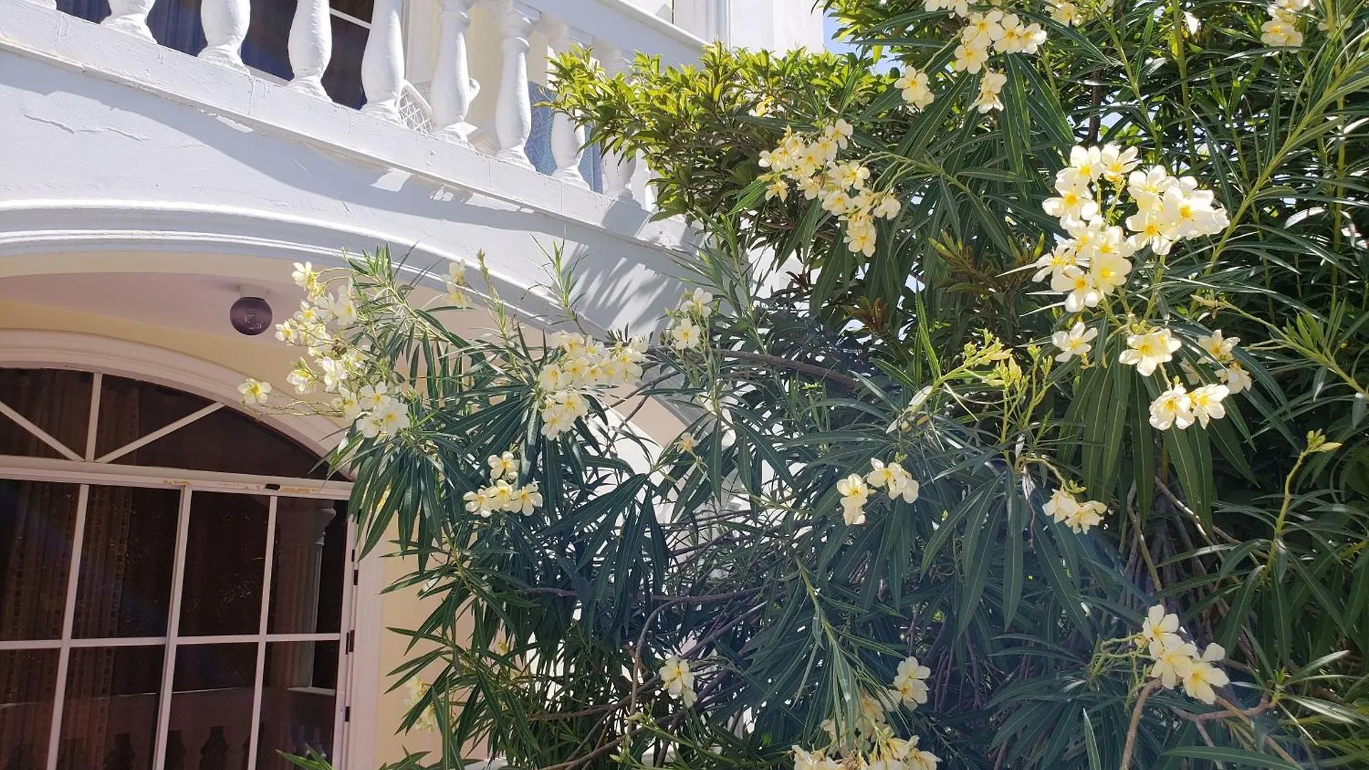 Cozy Apartment In Gated Community Costambar, Puerto Plata Доминиканская Республика